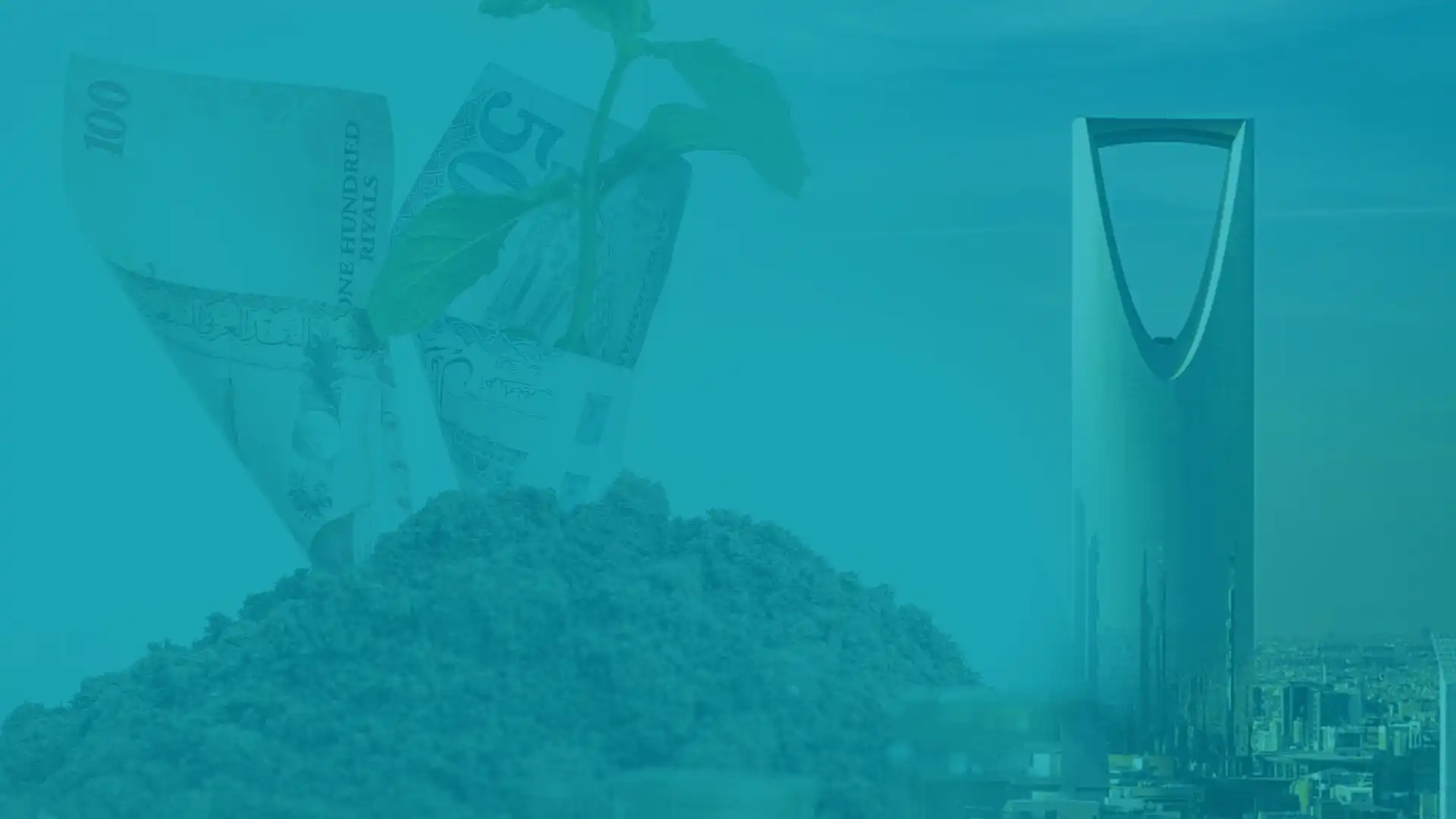 الشمول المالي ودوره في تمويل الشركات السعودية عبر الوساطة الرقمية